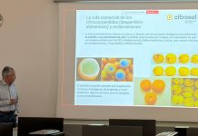 Benito Orihuel analiza el traslado de la postcosecha de cítricos del laboratorio a las centrales hortofrutícolas Benito Orihuel analiza el traslado de la postcosecha de cítricos del laboratorio a las centrales hortofrutícolas