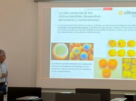 Benito Orihuel analiza el traslado de la postcosecha de cítricos del laboratorio a las centrales hortofrutícolas