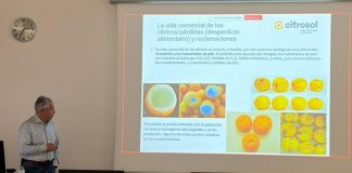 Benito Orihuel analiza el traslado de la postcosecha de cítricos del laboratorio a las centrales hortofrutícolas