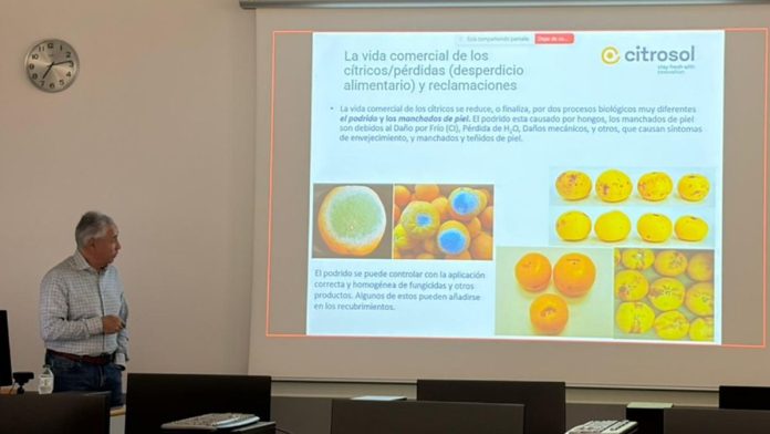 Benito Orihuel analiza el traslado de la postcosecha de cítricos del laboratorio a las centrales hortofrutícolas
