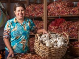 313 faros agroecológicos enseñan cómo producir alimentos sanos y adaptarse al cambio climático