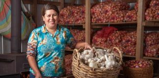 313 faros agroecológicos enseñan cómo producir alimentos sanos y adaptarse al cambio climático 313 faros agroecológicos enseñan cómo producir alimentos sanos y adaptarse al cambio climático