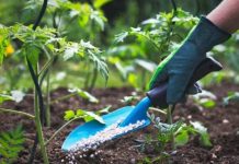 Actualización de norma de fertilizantes establecerá cambios en etiquetado de productos químicos