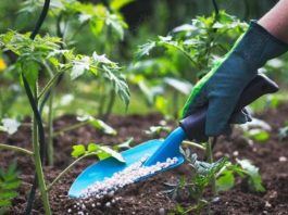 Actualización de norma de fertilizantes establecerá cambios en etiquetado de productos químicos