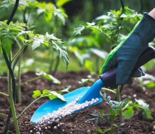 Actualización de norma de fertilizantes establecerá cambios en etiquetado de productos químicos