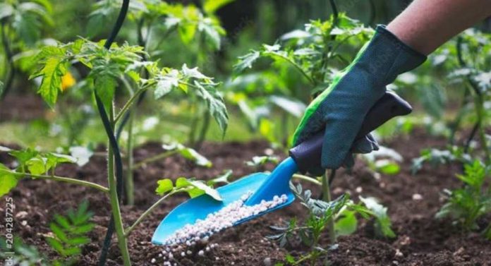 Actualización de norma de fertilizantes establecerá cambios en etiquetado de productos químicos
