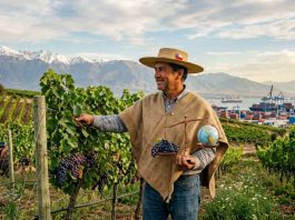 Agro chileno: equilibrio estratégico en tiempos de tensión global