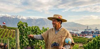 Agro chileno: equilibrio estratégico en tiempos de tensión global