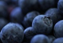 Arándanos de Sudáfrica