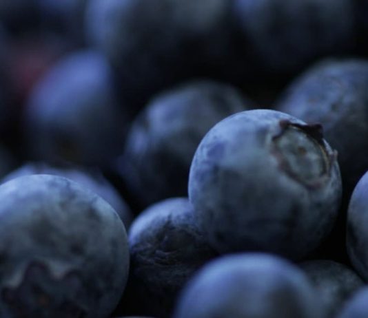 Arándanos de Sudáfrica