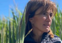Argentina | Jimena Sabor, desde la cámara sectorial, advierte que la industria de biológicos sigue en construcción Argentina | Jimena Sabor, desde la cámara sectorial, advierte que la industria de biológicos sigue en construcción