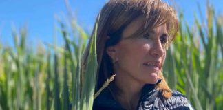 Argentina | Jimena Sabor, desde la cámara sectorial, advierte que la industria de biológicos sigue en construcción Argentina | Jimena Sabor, desde la cámara sectorial, advierte que la industria de biológicos sigue en construcción