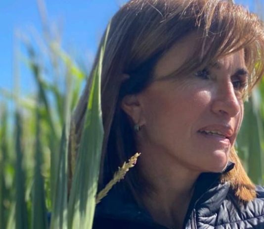 Argentina | Jimena Sabor, desde la cámara sectorial, advierte que la industria de biológicos sigue en construcción Argentina | Jimena Sabor, desde la cámara sectorial, advierte que la industria de biológicos sigue en construcción