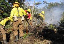 CONAF recibe Sello Buen Trato Ley Karin otorgado por la ACHS CONAF recibe Sello Buen Trato Ley Karin otorgado por la ACHS