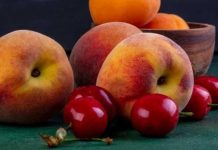 Cambios regulatorios en Argentina buscan impulsar nuevos mercados para la fruta de Mendoza