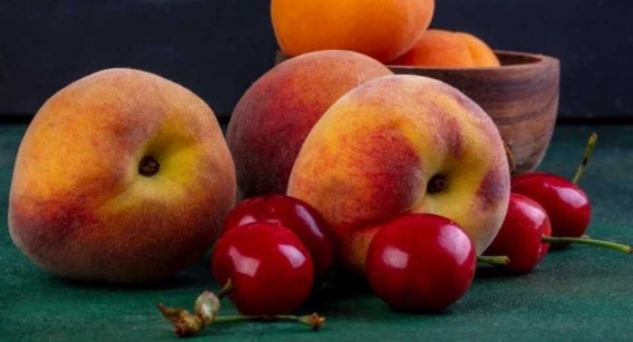 Cambios regulatorios en Argentina buscan impulsar nuevos mercados para la fruta de Mendoza