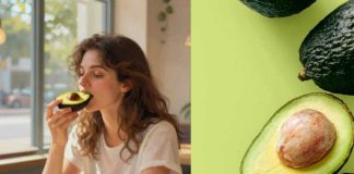 Chile tierra de «Palta Lovers»: Consumo per cápita alcanza récord con casi 9 kilos en 2025