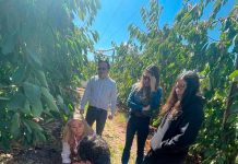 Copeval y Corfo impulsan la agricultura regenerativa en el Maule a través del programa “Suelos Vivos”