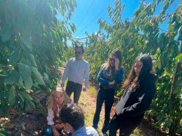 Copeval y Corfo impulsan la agricultura regenerativa en el Maule a través del programa “Suelos Vivos”