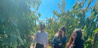 Copeval y Corfo impulsan la agricultura regenerativa en el Maule a través del programa “Suelos Vivos”