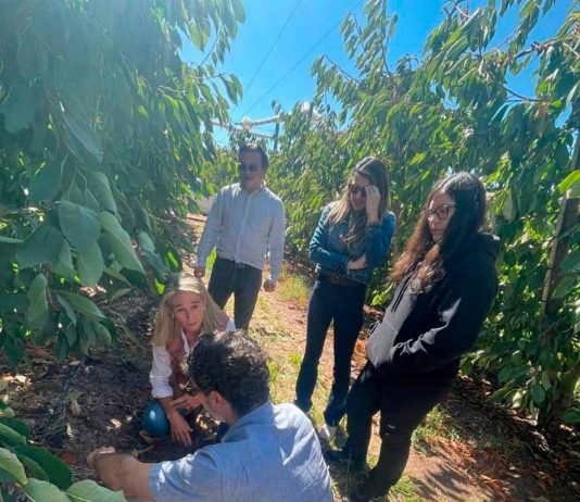 Copeval y Corfo impulsan la agricultura regenerativa en el Maule a través del programa “Suelos Vivos” Copeval y Corfo impulsan la agricultura regenerativa en el Maule a través del programa “Suelos Vivos”
