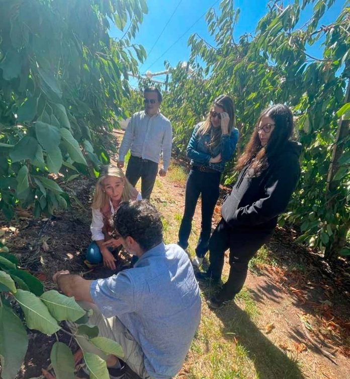 Copeval y Corfo impulsan la agricultura regenerativa en el Maule a través del programa “Suelos Vivos” Copeval y Corfo impulsan la agricultura regenerativa en el Maule a través del programa “Suelos Vivos”