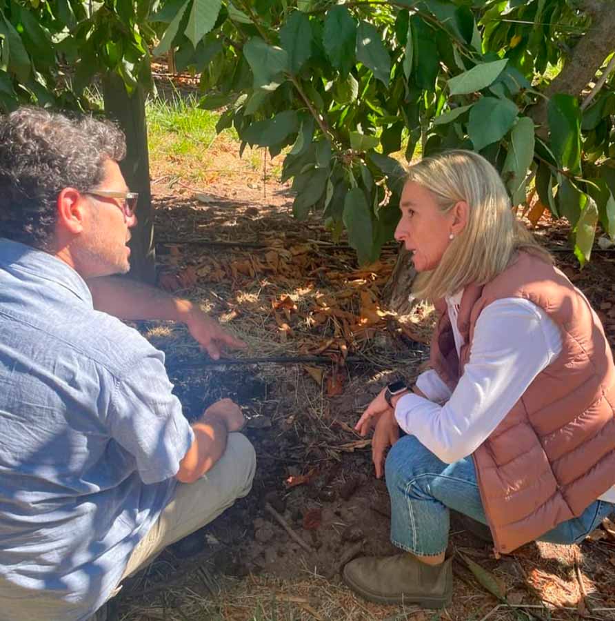 Copeval y Corfo impulsan la agricultura regenerativa en el Maule a través del programa “Suelos Vivos”