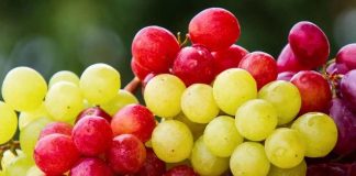Exportaciones de uva caen 8,4% en nueva estimación de Frutas de Chile