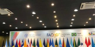 Ministra Fernández destaca rol de las mujeres en los sistemas agroalimentarios en lanzamiento del Año Internacional de la Mujer Agricultora