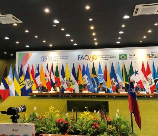 Ministra Fernández destaca rol de las mujeres en los sistemas agroalimentarios en lanzamiento del Año Internacional de la Mujer Agricultora