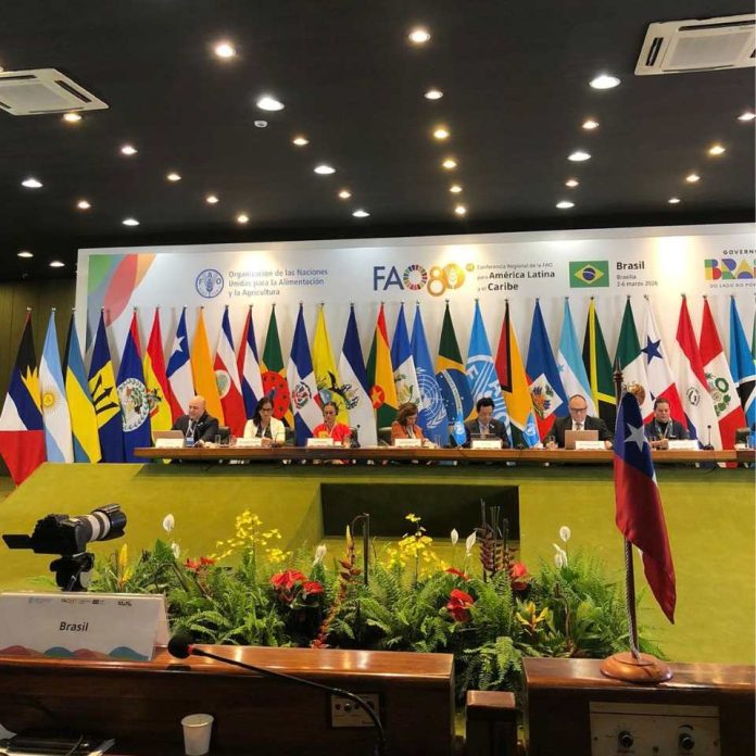 Ministra Fernández destaca rol de las mujeres en los sistemas agroalimentarios en lanzamiento del Año Internacional de la Mujer Agricultora