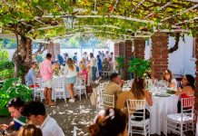 Fiesta de la Vendimia 2026 en Colchagua: eventos temáticos, fiestas para solteros y una proyección de 150 mil visitantes Fiesta de la Vendimia 2026 en Colchagua: eventos temáticos, fiestas para solteros y una proyección de 150 mil visitantes