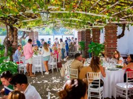 Fiesta de la Vendimia 2026 en Colchagua: eventos temáticos, fiestas para solteros y una proyección de 150 mil visitantes Fiesta de la Vendimia 2026 en Colchagua: eventos temáticos, fiestas para solteros y una proyección de 150 mil visitantes