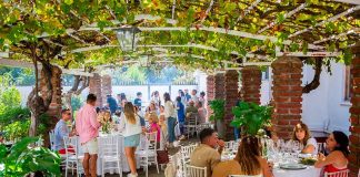 Noticia: Fiesta de la Vendimia 2026 en Colchagua: eventos temáticos, fiestas para...