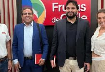 Fruta chilena despierta interés en importadores de India