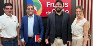 Fruta chilena despierta interés en importadores de India Fruta chilena despierta interés en importadores de India