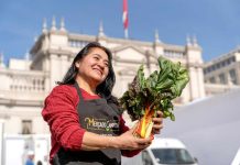 Gobierno presenta histórico proyecto de ley para modernizar INDAP y afrontar los desafíos de la Agricultura Familiar Gobierno presenta histórico proyecto de ley para modernizar INDAP y afrontar los desafíos de la Agricultura Familiar