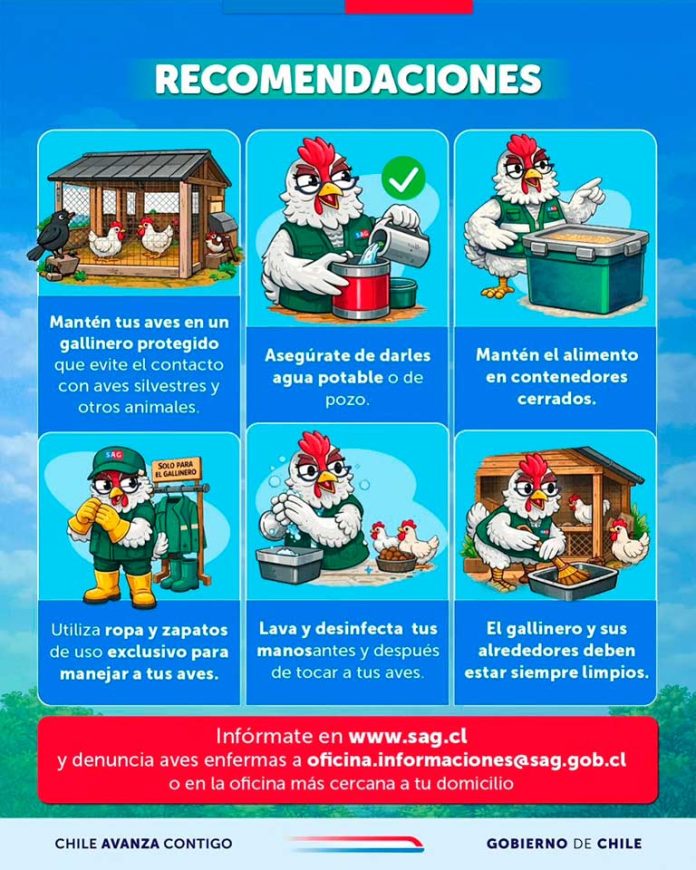 Influenza aviar H5N1 | 