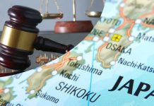 Japón blindará sus cultivos: Impulsa nueva ley de propiedad intelectual agrícola Japón blindará sus cultivos: Impulsa nueva ley de propiedad intelectual agrícola