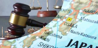 Japón blindará sus cultivos: Impulsa nueva ley de propiedad intelectual agrícola