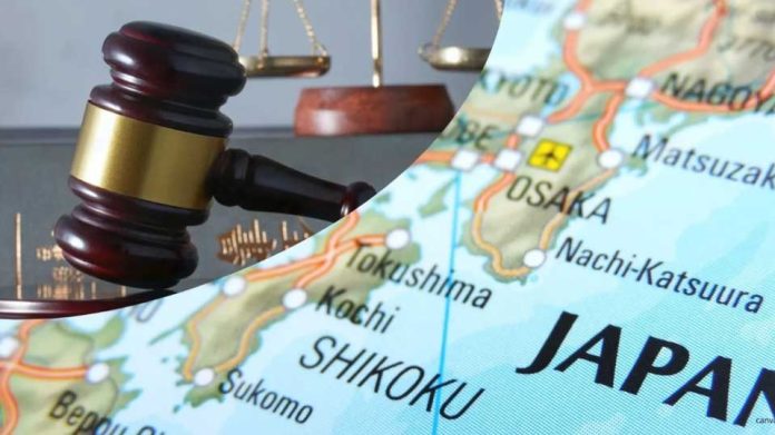 Japón blindará sus cultivos: Impulsa nueva ley de propiedad intelectual agrícola