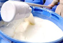 La regulación de precios asfixia el sector lechero en Bolivia