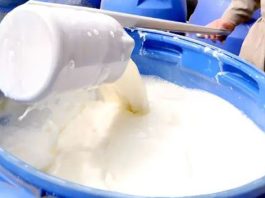 La regulación de precios asfixia el sector lechero en Bolivia La regulación de precios asfixia el sector lechero en Bolivia