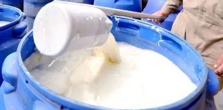 La regulación de precios asfixia el sector lechero en Bolivia La regulación de precios asfixia el sector lechero en Bolivia