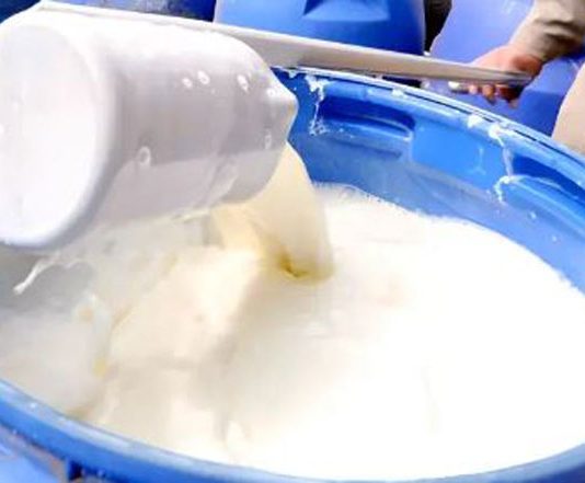 La regulación de precios asfixia el sector lechero en Bolivia La regulación de precios asfixia el sector lechero en Bolivia