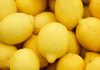 Marruecos alcanza su mayor volumen de exportación de limones de las últimas cinco temporadas