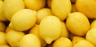 Marruecos alcanza su mayor volumen de exportación de limones de las últimas cinco temporadas