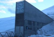 Noruega La Bóveda Global de Semillas de Svalbard en Noruega, protege las semillas que podrían sostener la comida del futuro