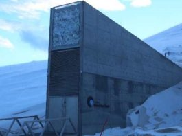 Noruega | La Bóveda Global de Semillas de Svalbard en Noruega, protege las semillas que podrían sostener la comida del futuro Noruega La Bóveda Global de Semillas de Svalbard en Noruega, protege las semillas que podrían sostener la comida del futuro