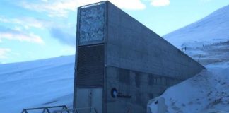 Noruega | La Bóveda Global de Semillas de Svalbard en Noruega, protege las semillas que podrían sostener la comida del futuro Noruega La Bóveda Global de Semillas de Svalbard en Noruega, protege las semillas que podrían sostener la comida del futuro